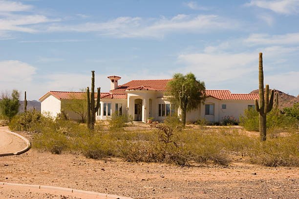 Moveraz: Complete Guide to the Platform and Its Services