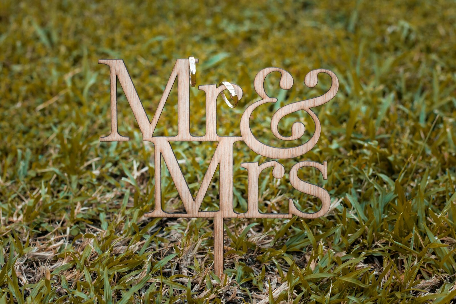 Mr Lender: A Simple Guide to the Short-Term Loan Service